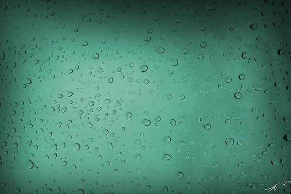 Gouttes d eau sur verre vert