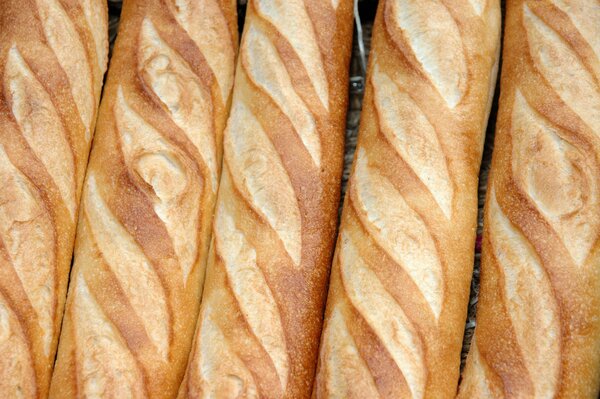 Baguettes en una fila. Pan