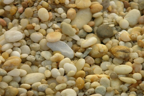 Background small river stones