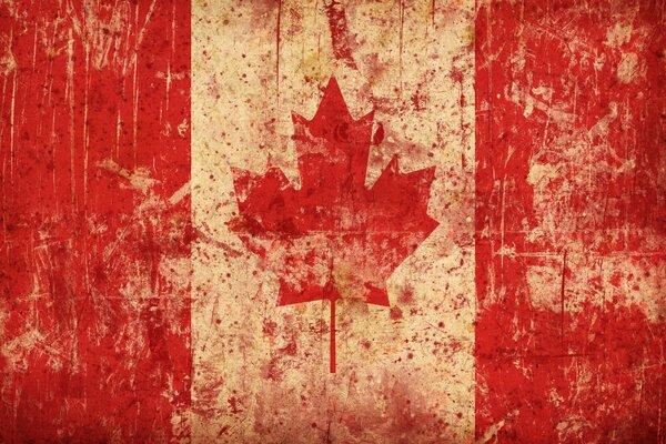 La bandera de Canadá tiene una hoja de arce