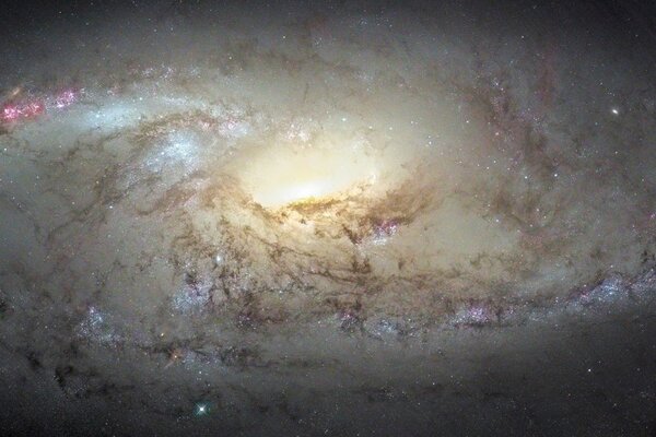 Silent galaxy constellation Ursa Major
