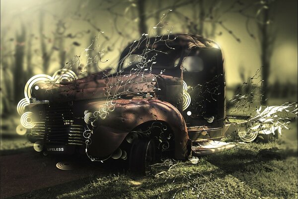 Photo of a car in the forest