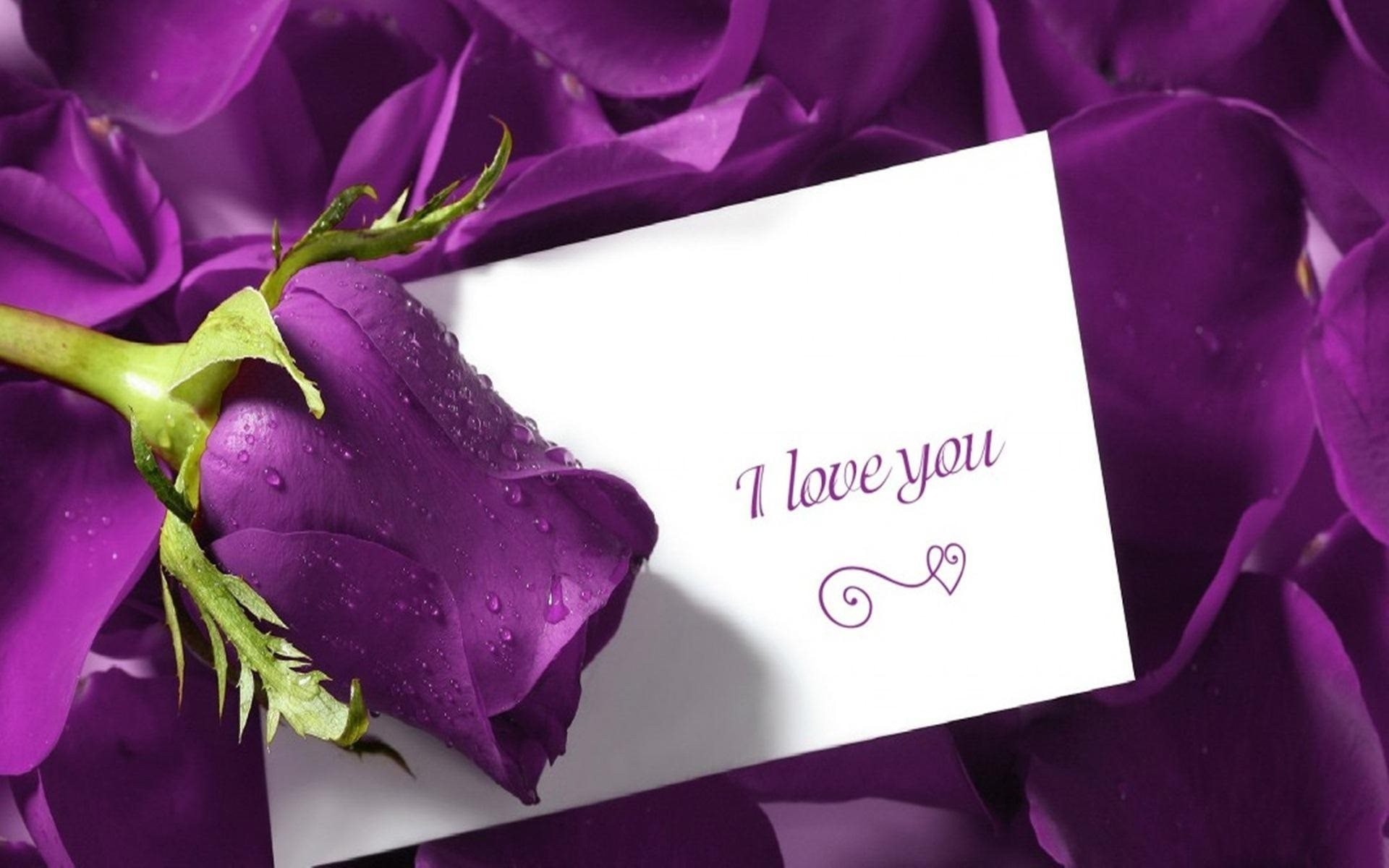 je t aime violet romance roses cartes