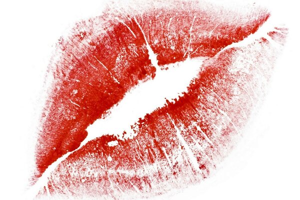 Traza de labios rojos de lápiz labial sobre fondo blanco