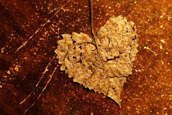 Autumn Leaf in the form of a heart