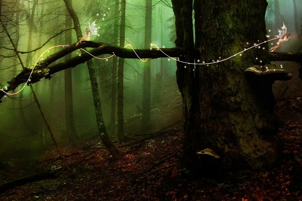 La aventura del árbol en el bosque de hadas