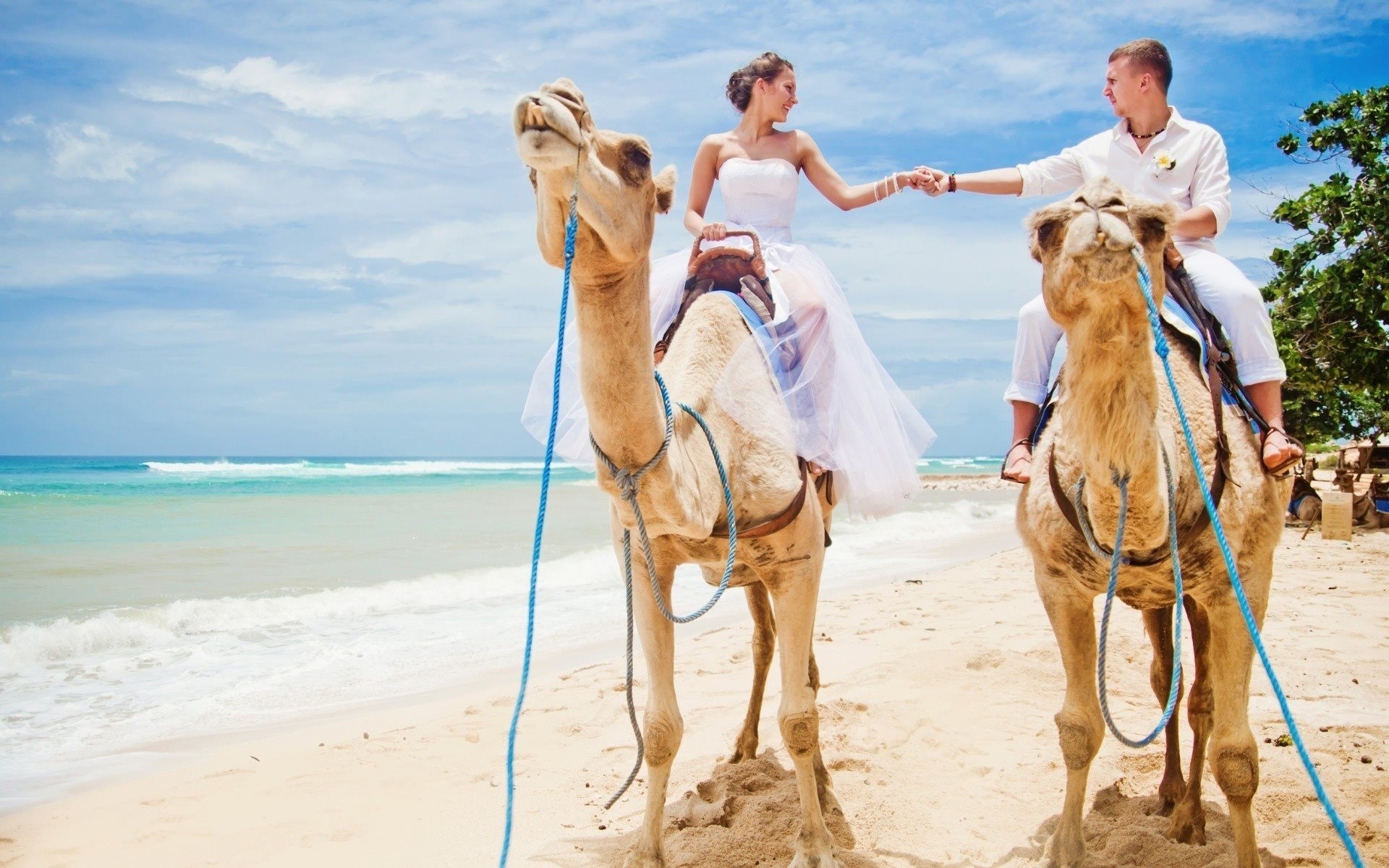 strand mädchen kamele liebe verkleiden sich hochzeit männchen