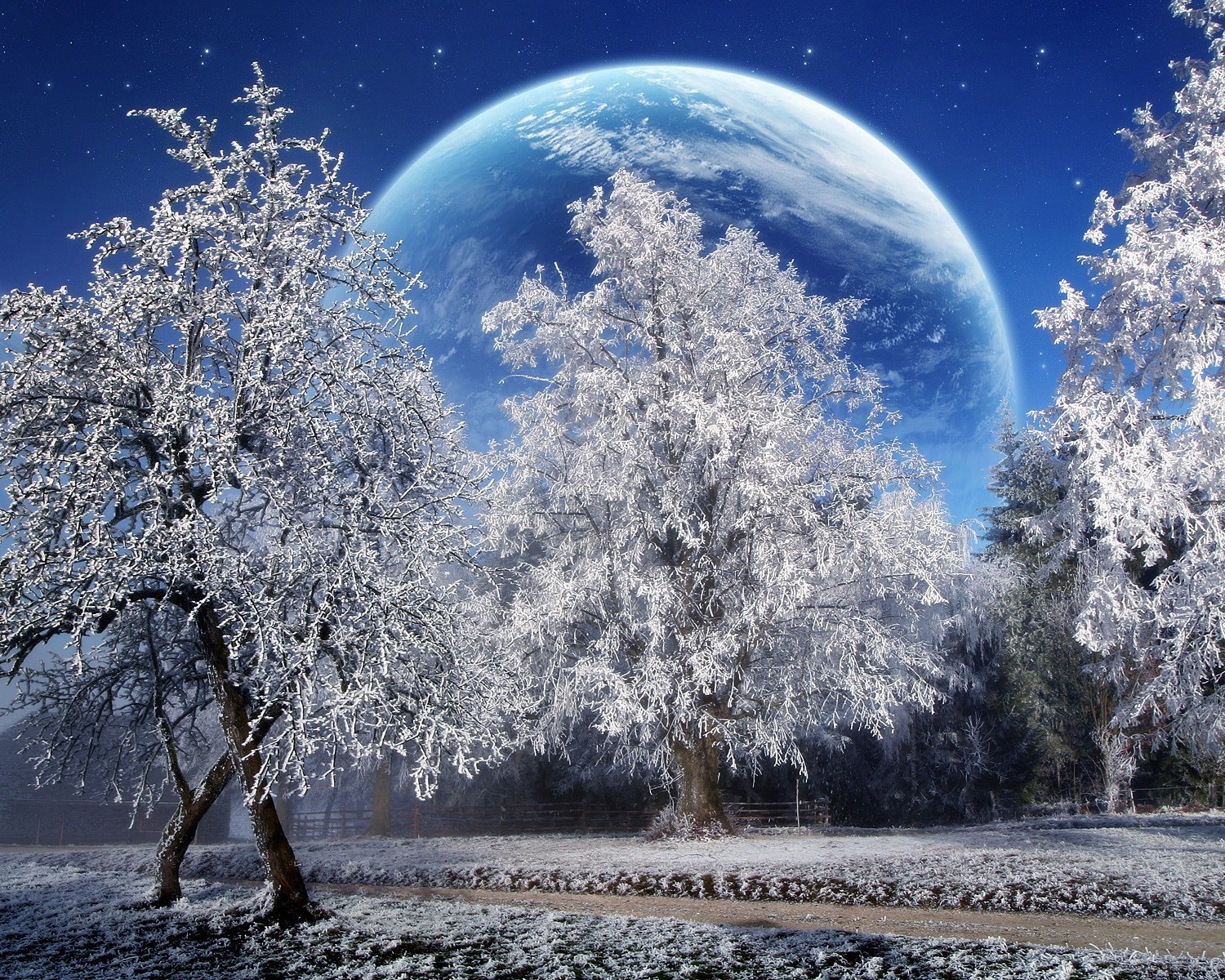 planet tree winter snow