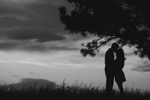 Пара целуется стоя под деревом