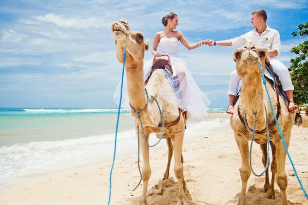 Pareja enamorada monta un camello en la playa