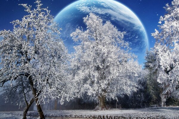 Снежные деревья на фоне планеты