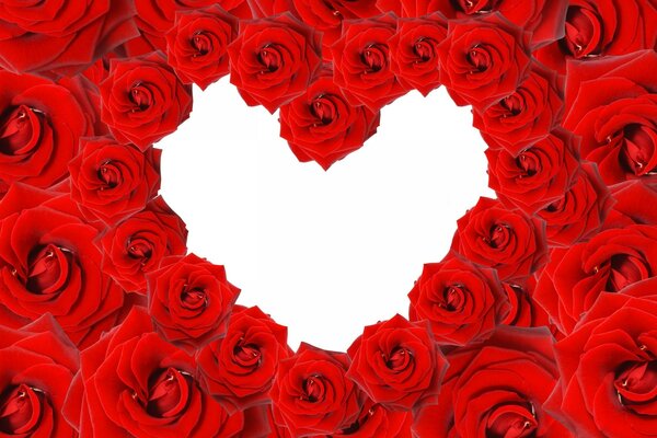 Romantic heart of red roses