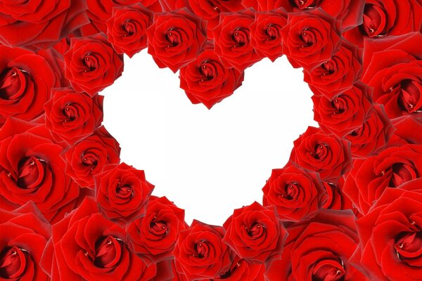 Corazón romántico de rosas rojas