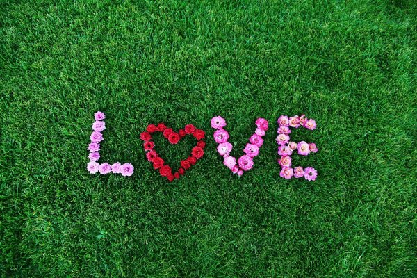 The word love is made of flowers on green grass