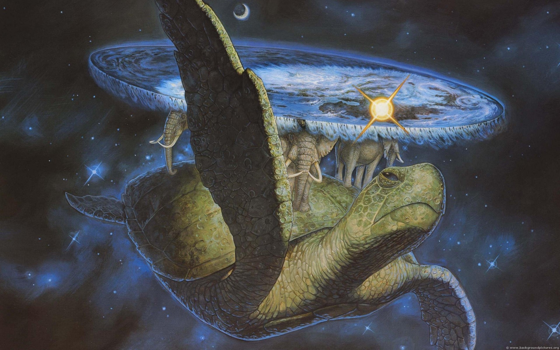 discworld di terry pratchett tartaruga elefanti spazio fantasia