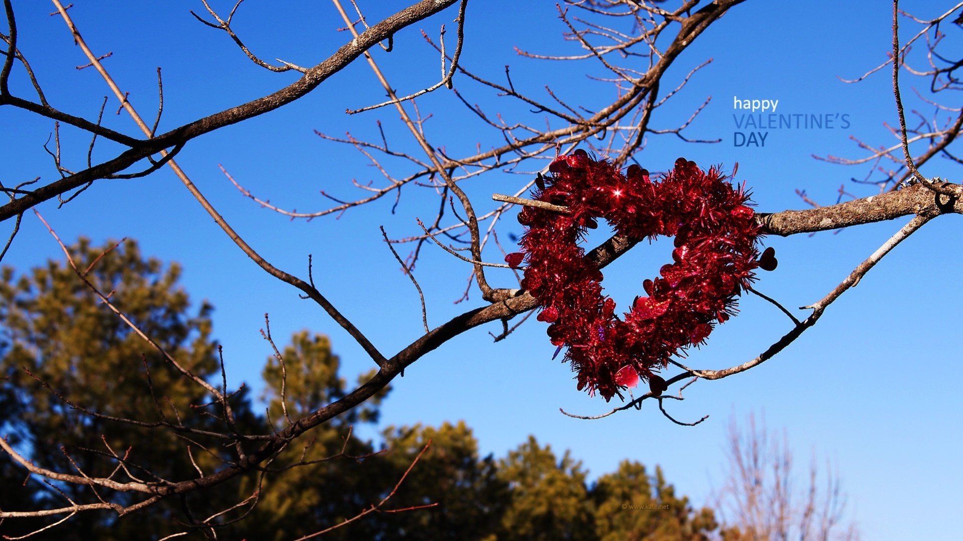 corazón día de san valentín amor romance vacaciones