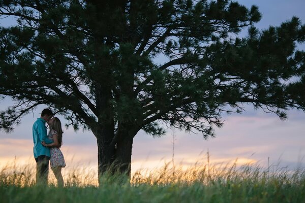 Amantes de pie bajo un árbol al atardecer