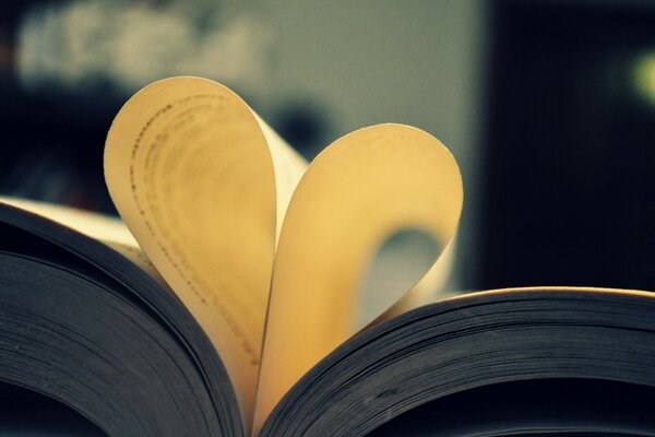 The heart of the yellow pages of the book