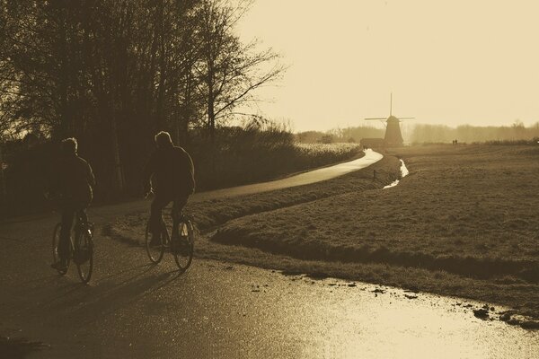 Cyclists on the path. Evening