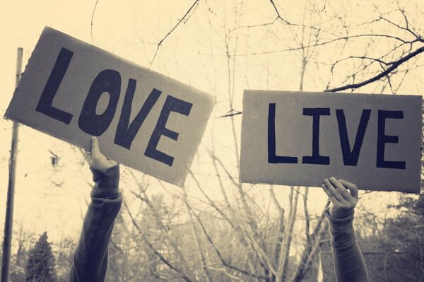 Руки держат плакаты с надписями на английском: любовь и жизнь