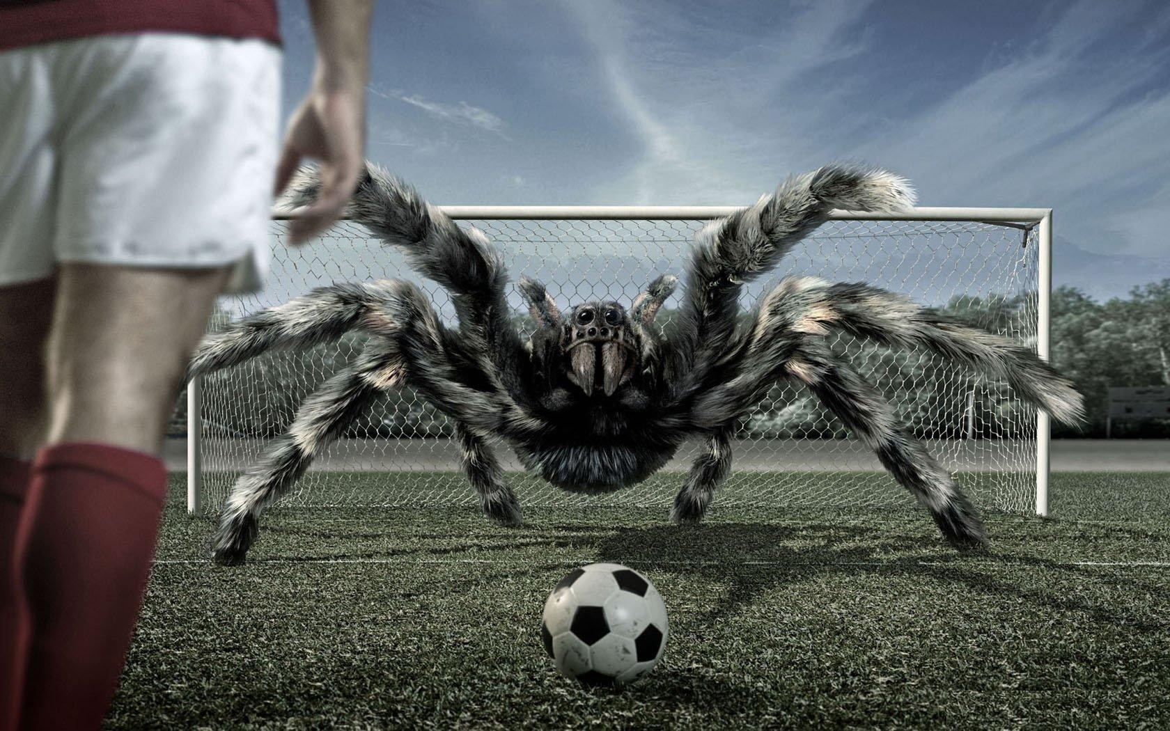 football tarantula spider ball gate