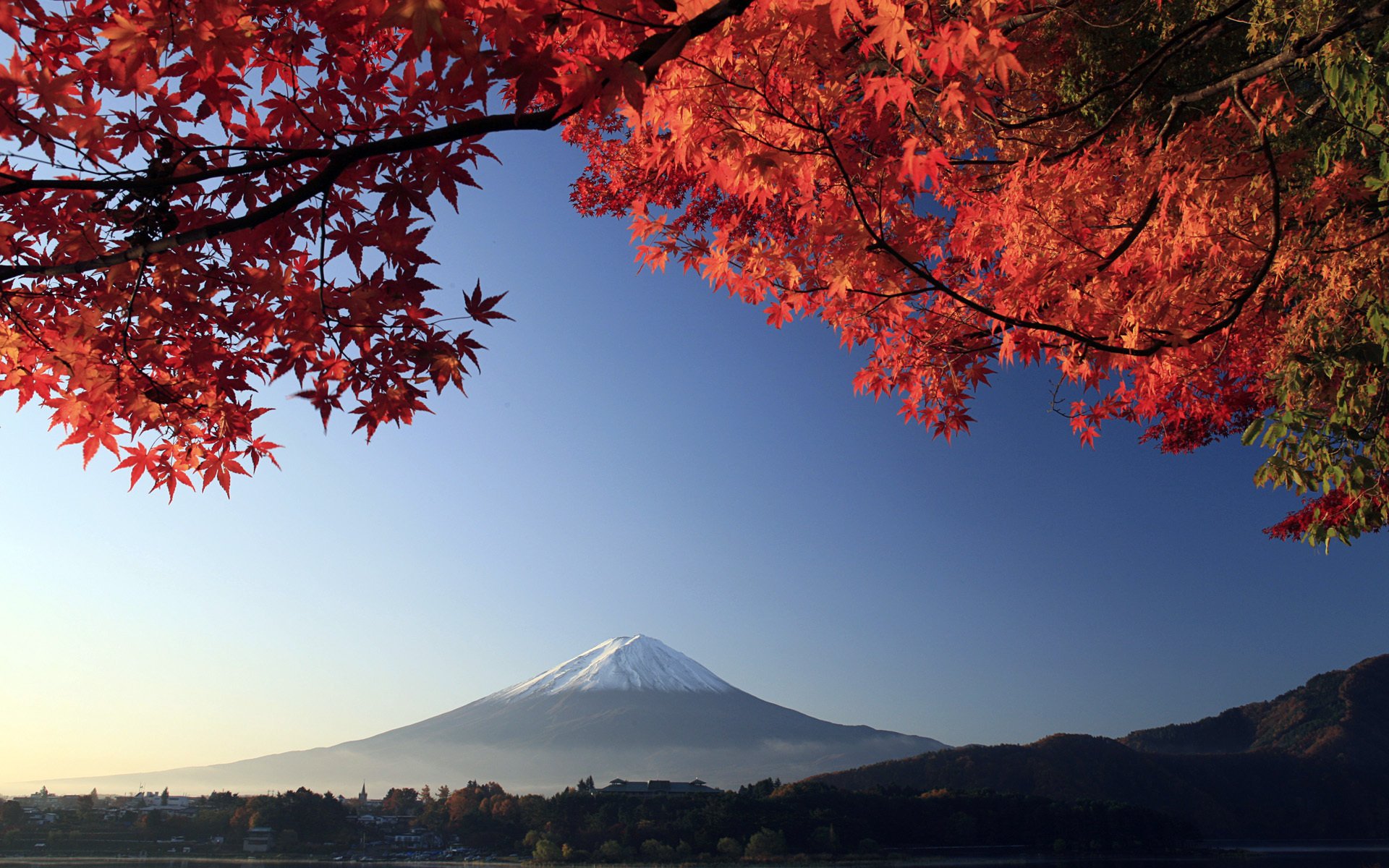 japan zweige berg baum fujiyama herbst vulkan