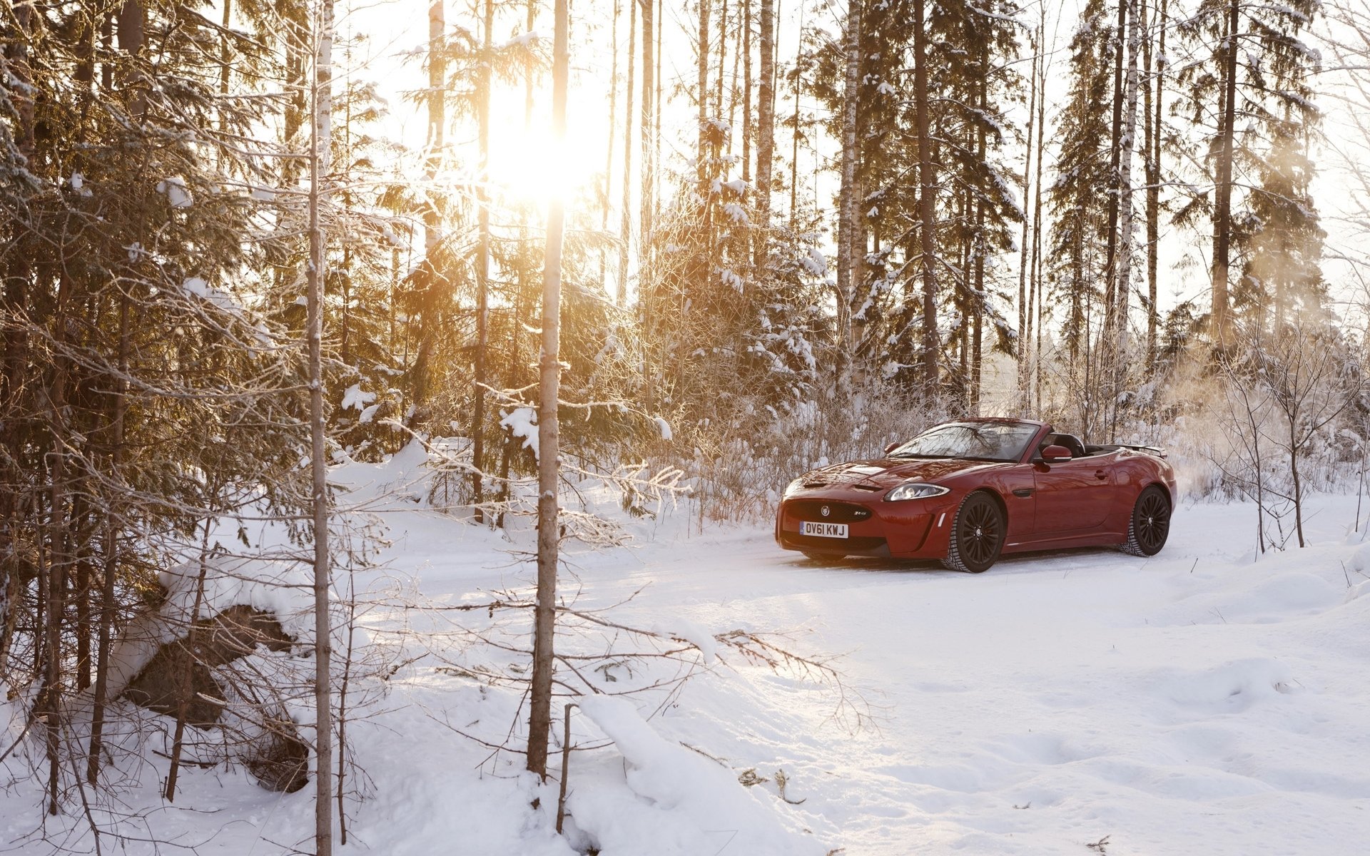 jaguar xkr-s convertibile jaguar rosso inverno neve foresta sole