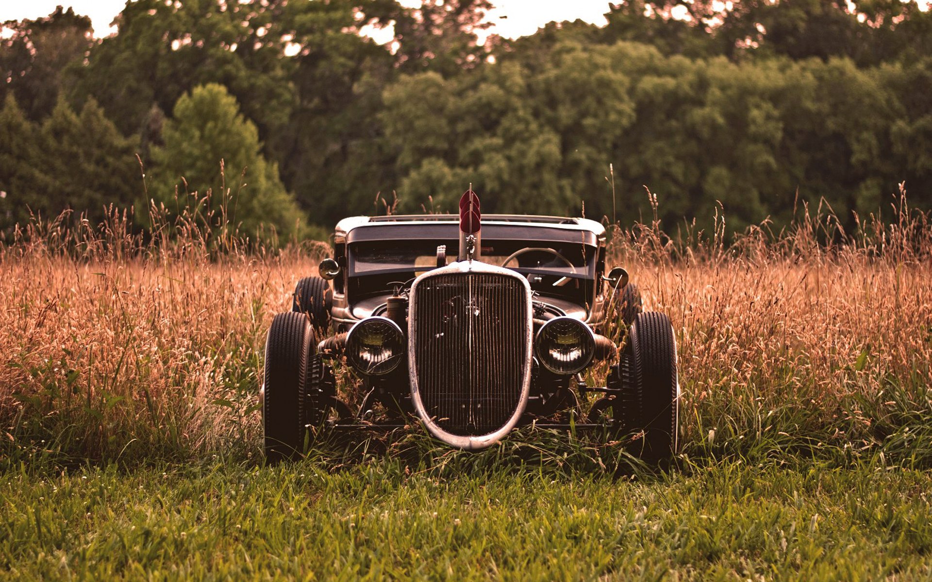 hot rod personnalisé autowalls hot rod herbe