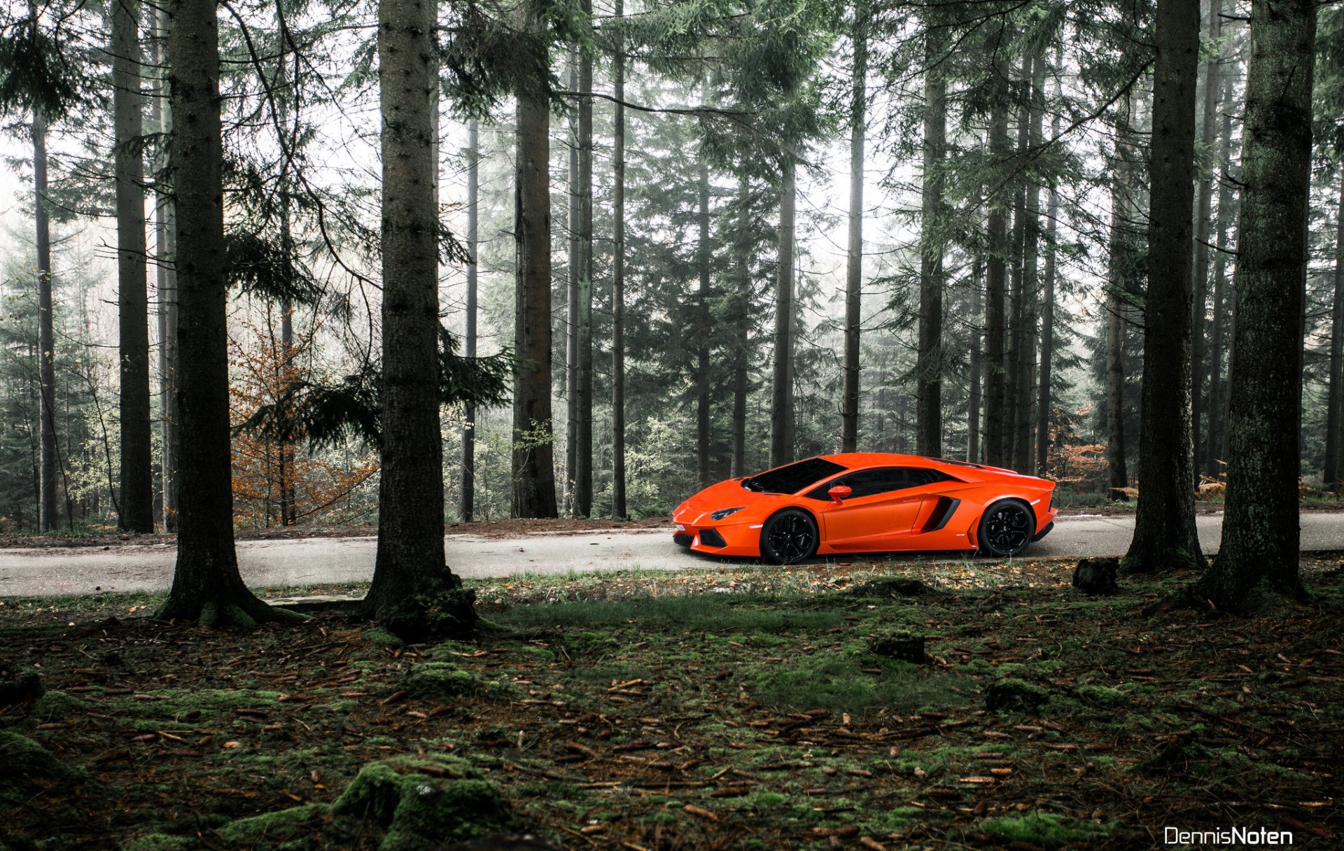 lamborghini aventador лес свет