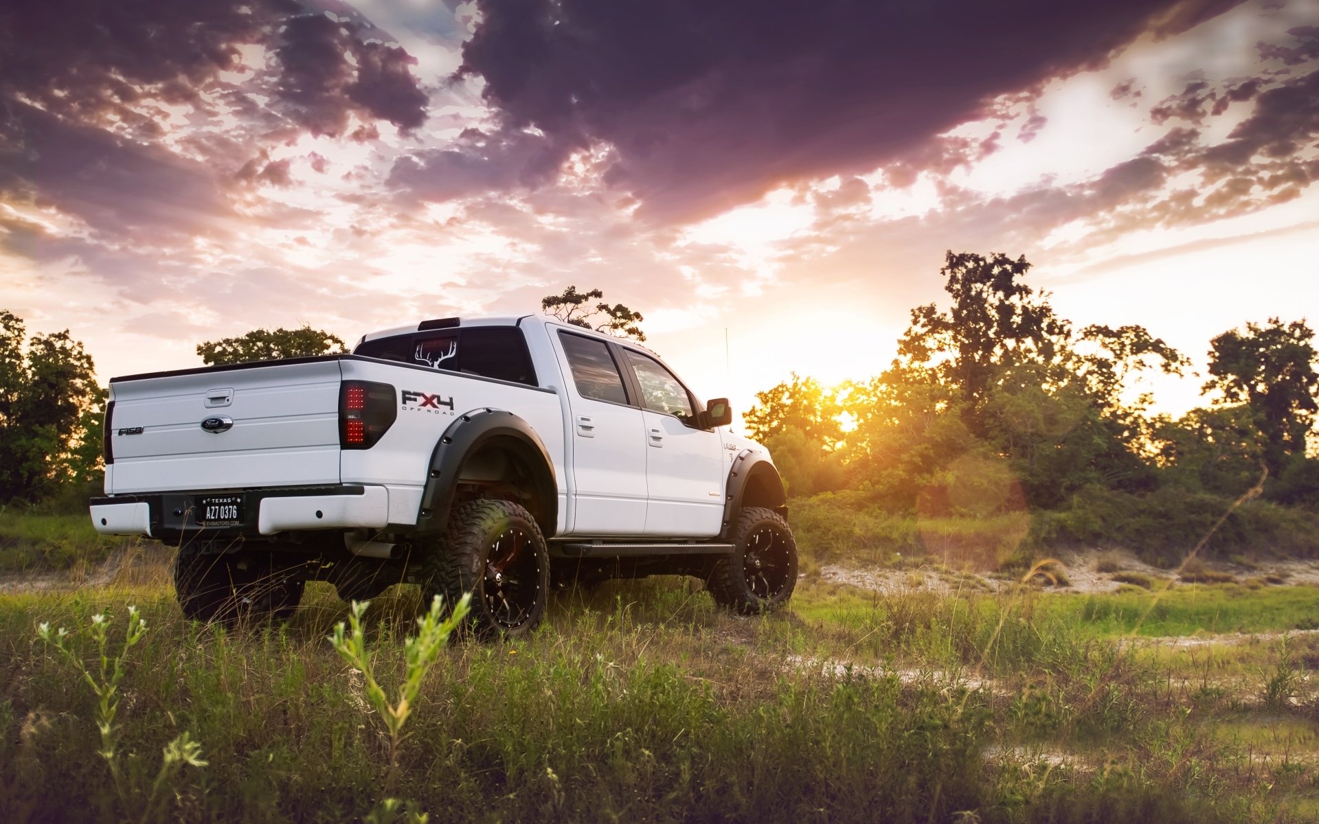 ford f-150 f-150 jeep pickup suv biały widok z tyłu tuning trawa drzewa niebo słońce