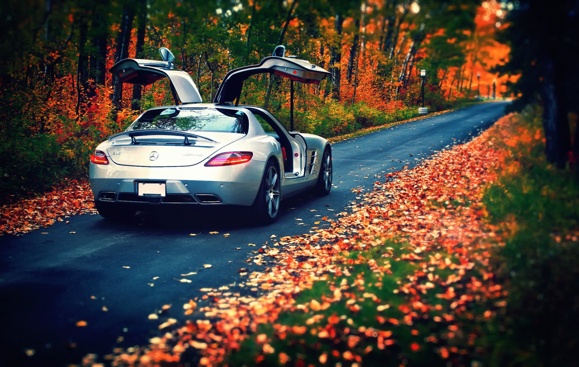 mercedes-benz sls amg srebrny tył jesień liście