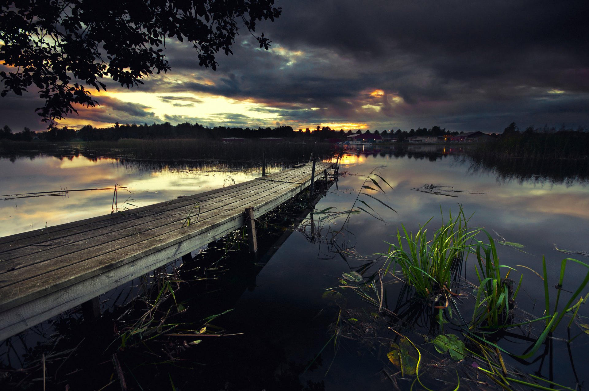 nature the evening home river lake