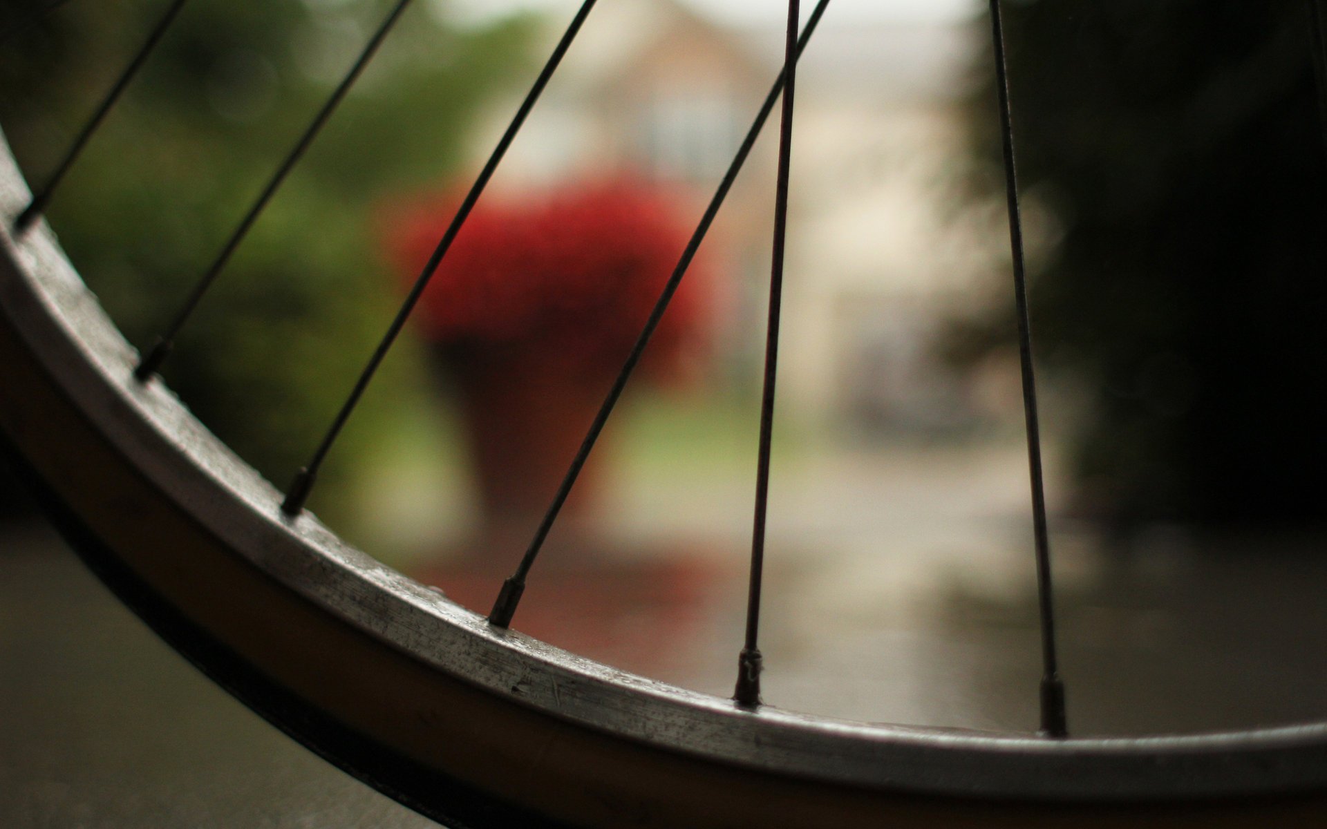 bicycle macro bicycle macro bokeh effect wheel spoke