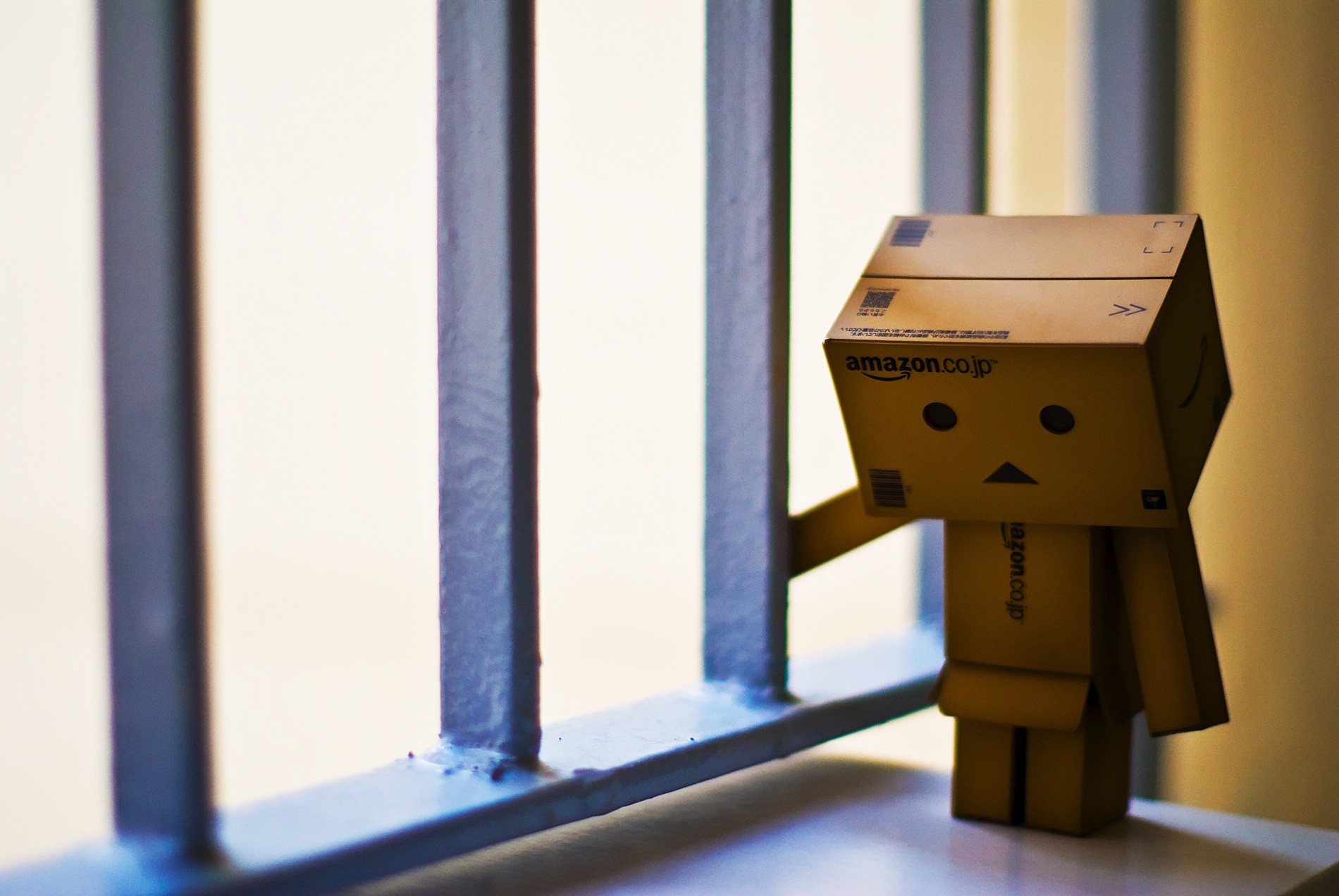 danboard danbo caja robot juguete tristeza soledad jaula jardín