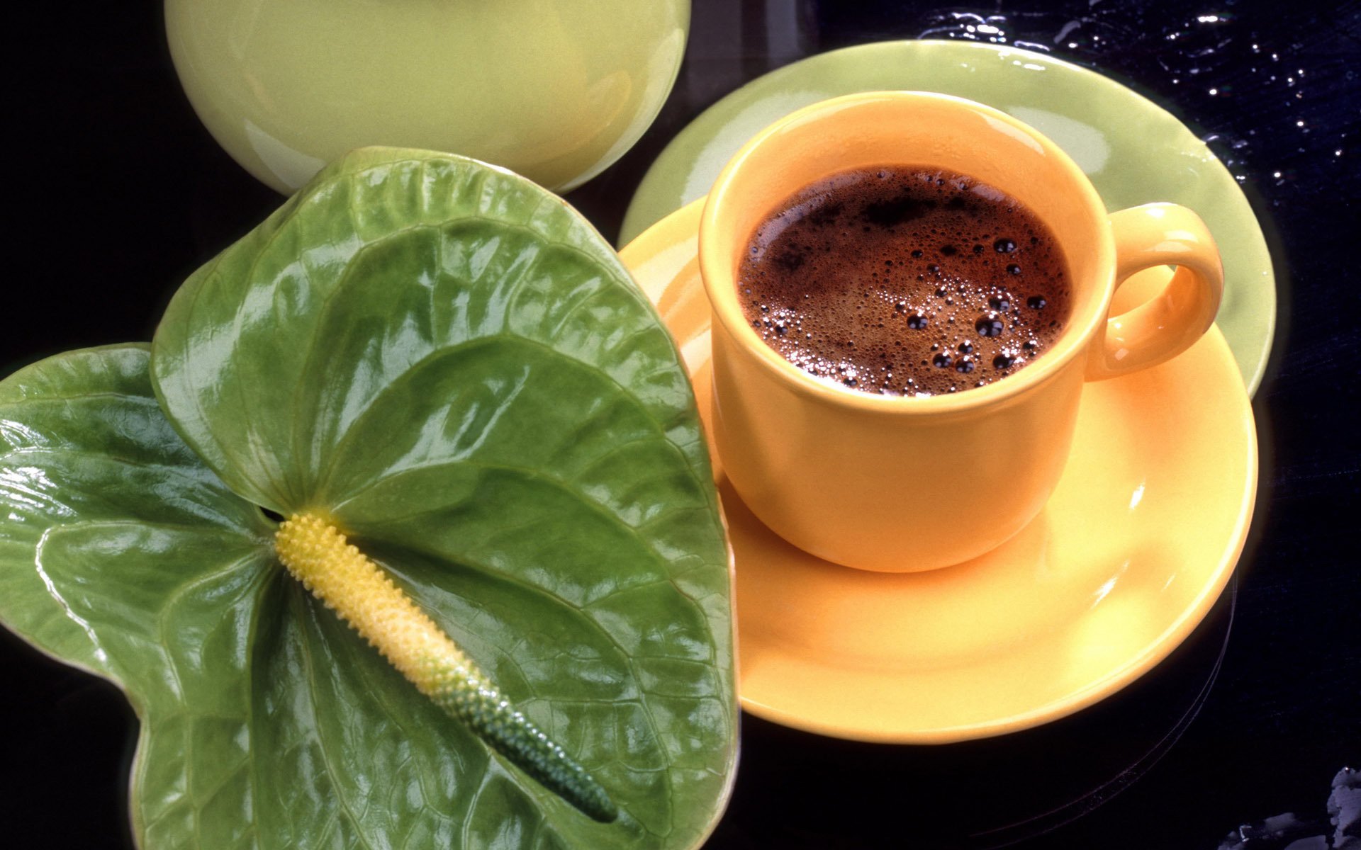 anthurium taza flor café