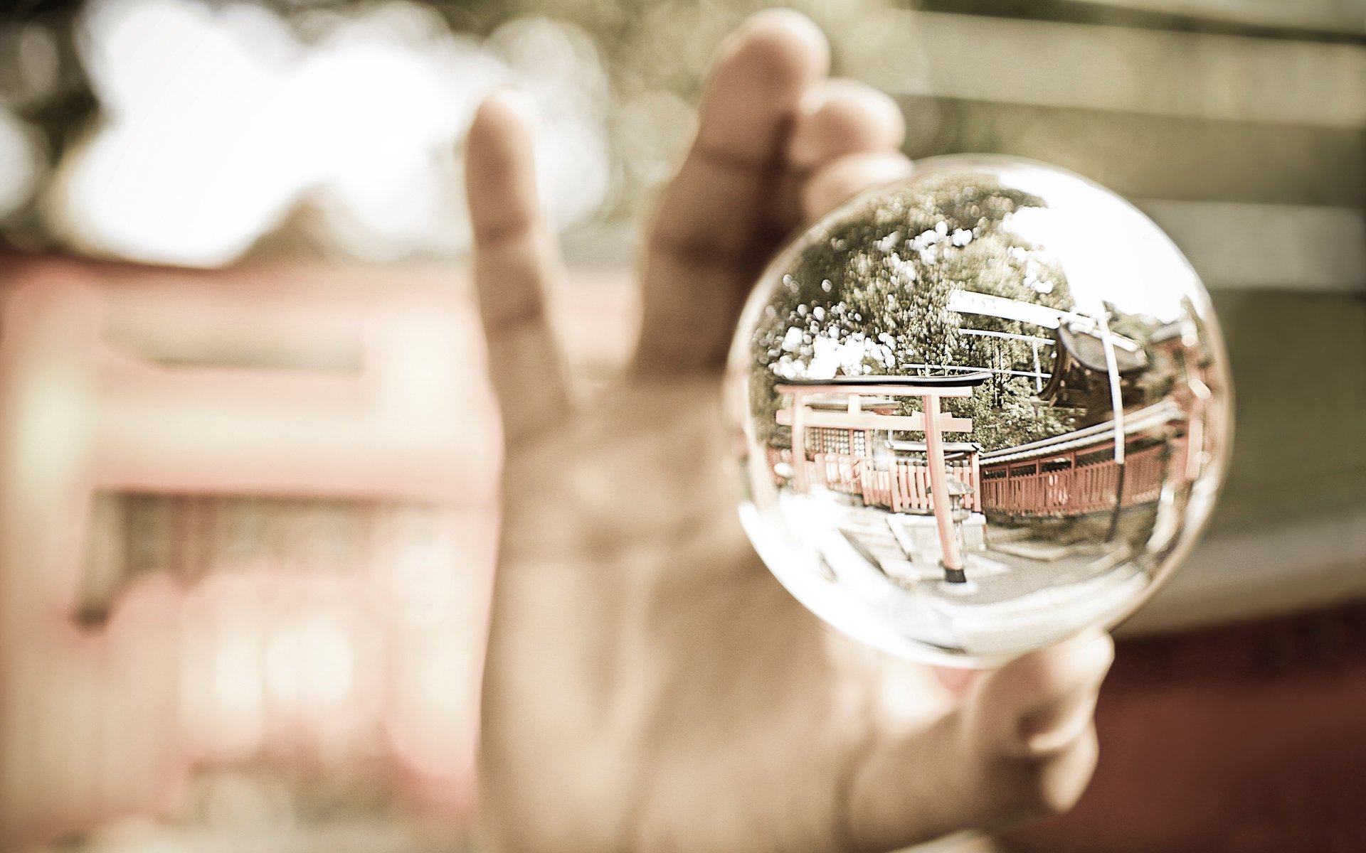 ball ball reflection hand makro reflexion glass hand glas