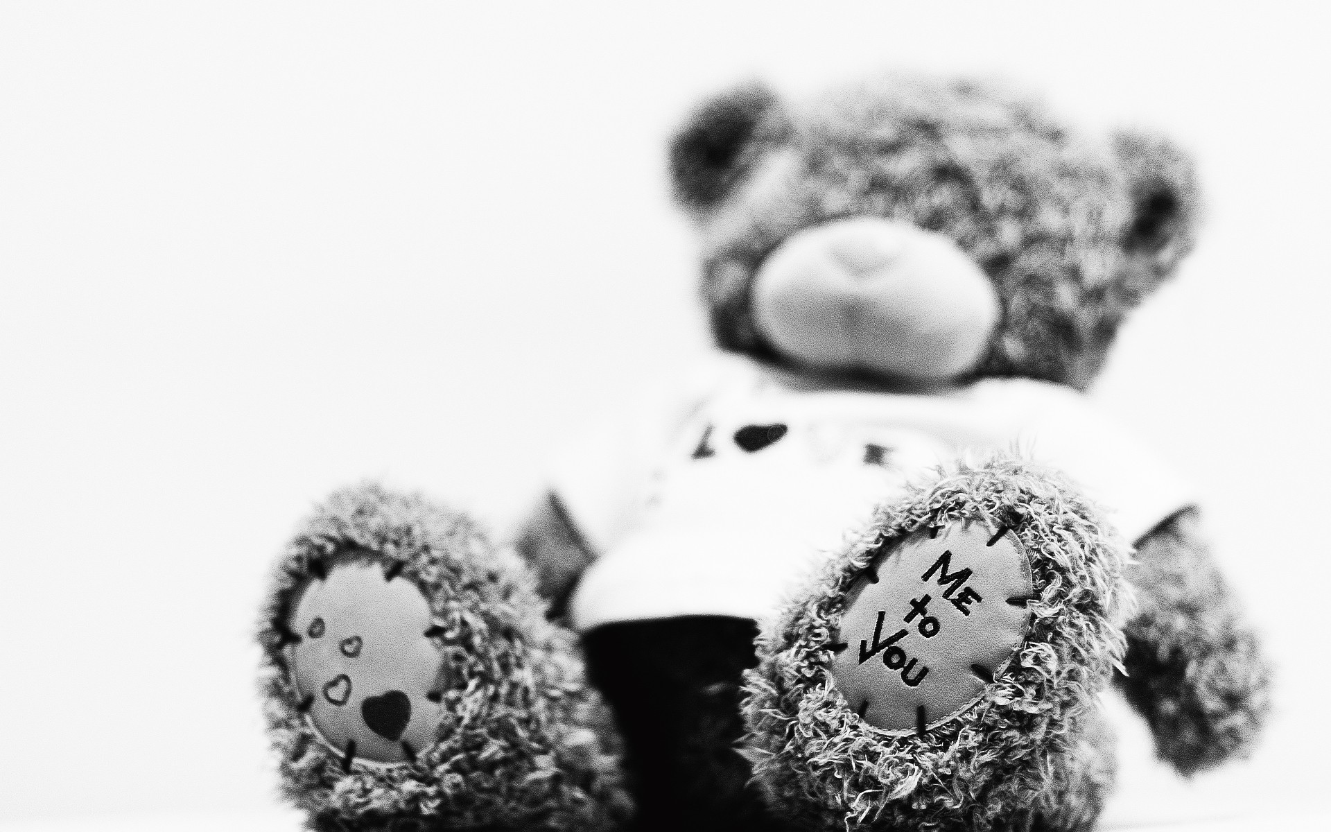 black and white teddy bear teddy