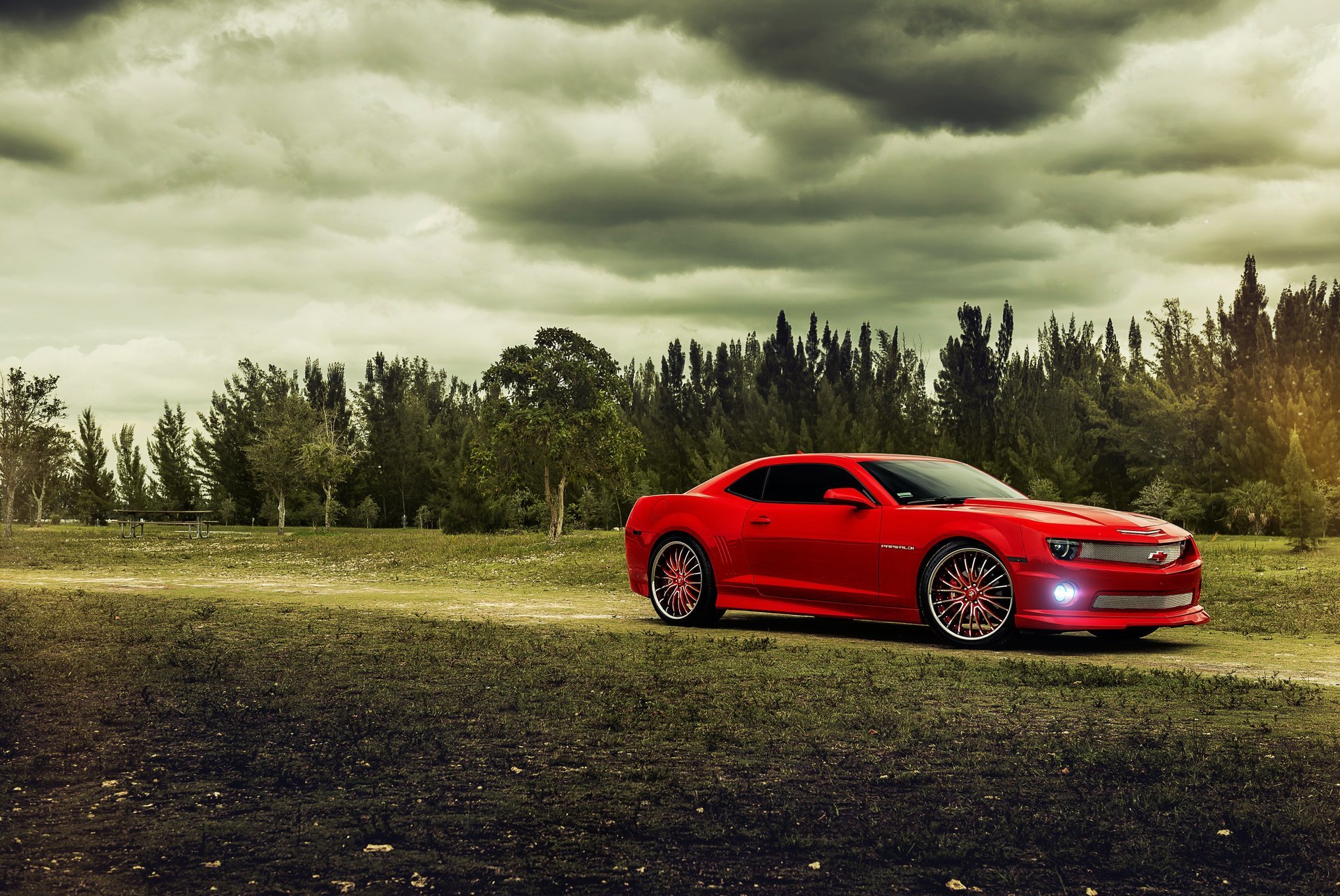 chevrolet camaro rojo coche del músculo chevrolet camaro rojo coche del músculo árboles