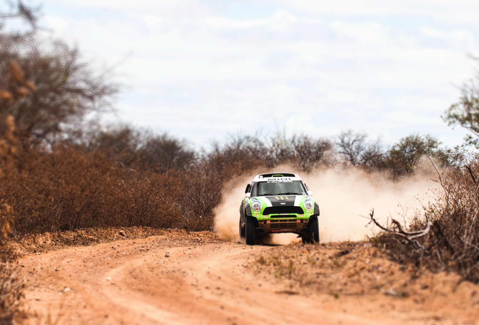 mini cooper mini mini cooper dakar x-raid rally verde auto coche deporte carrera faro día suv jeep en movimiento