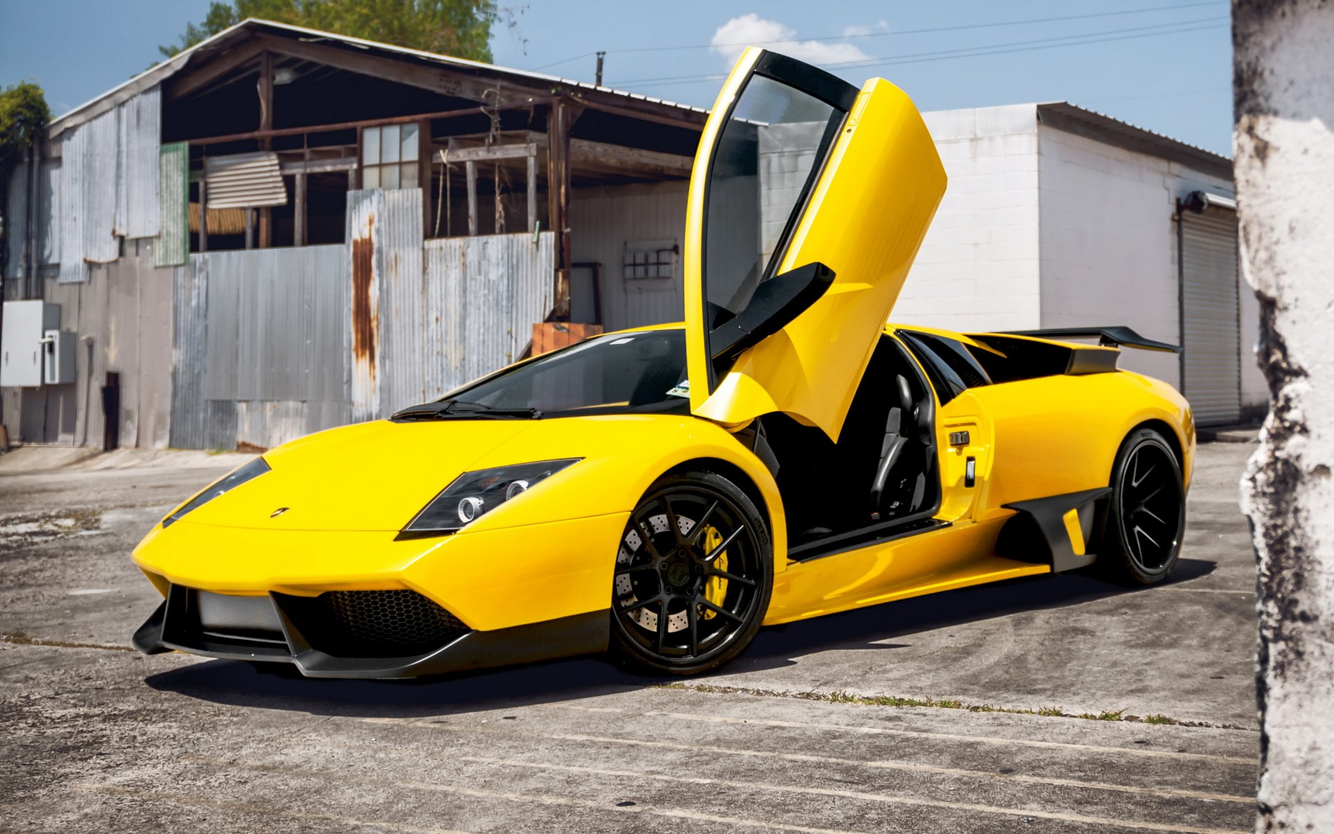 lamborghini murcielago lamborghini supersamochód żółty murcielago