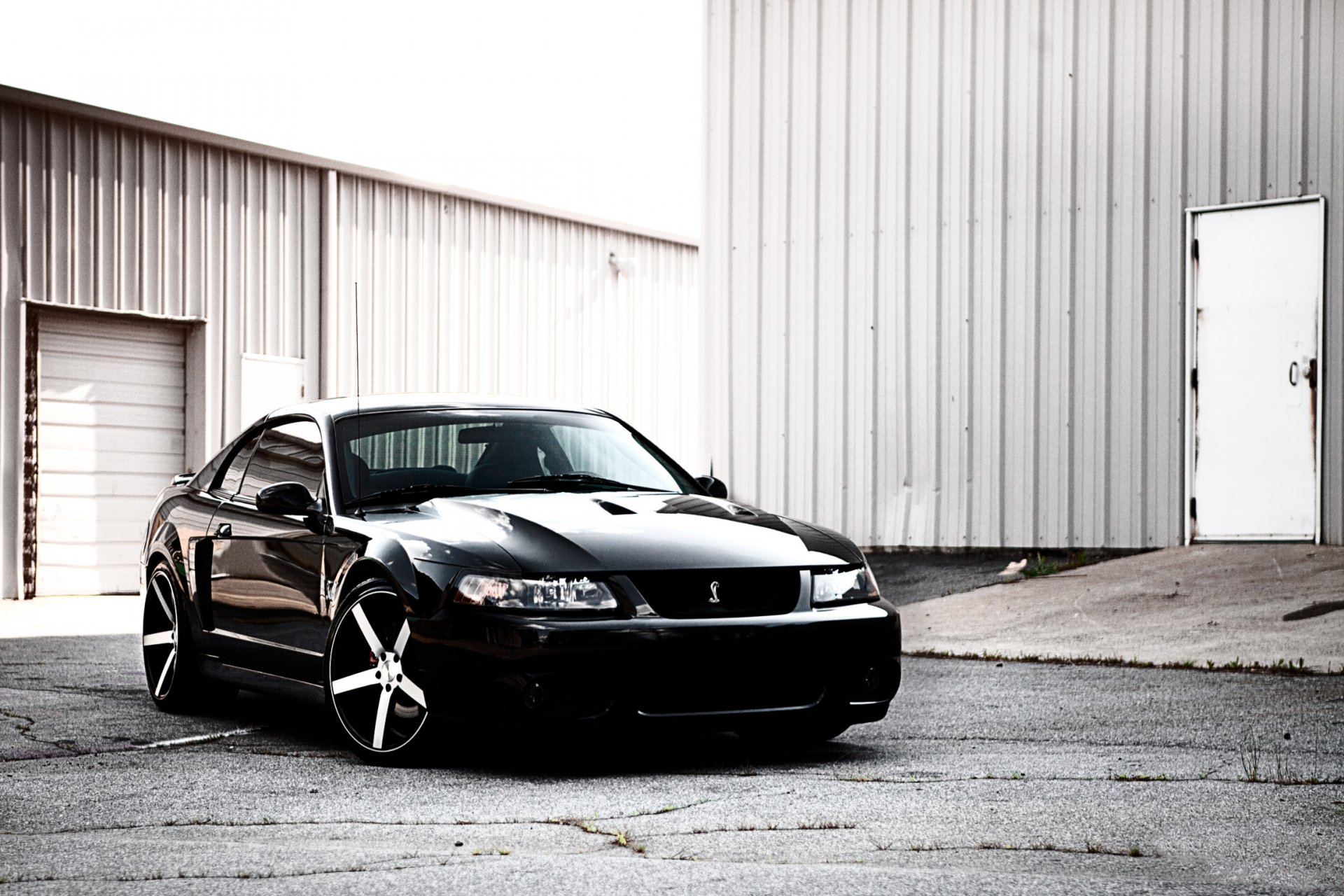 mustang shelby hangar negro ford cobra coche deportivo