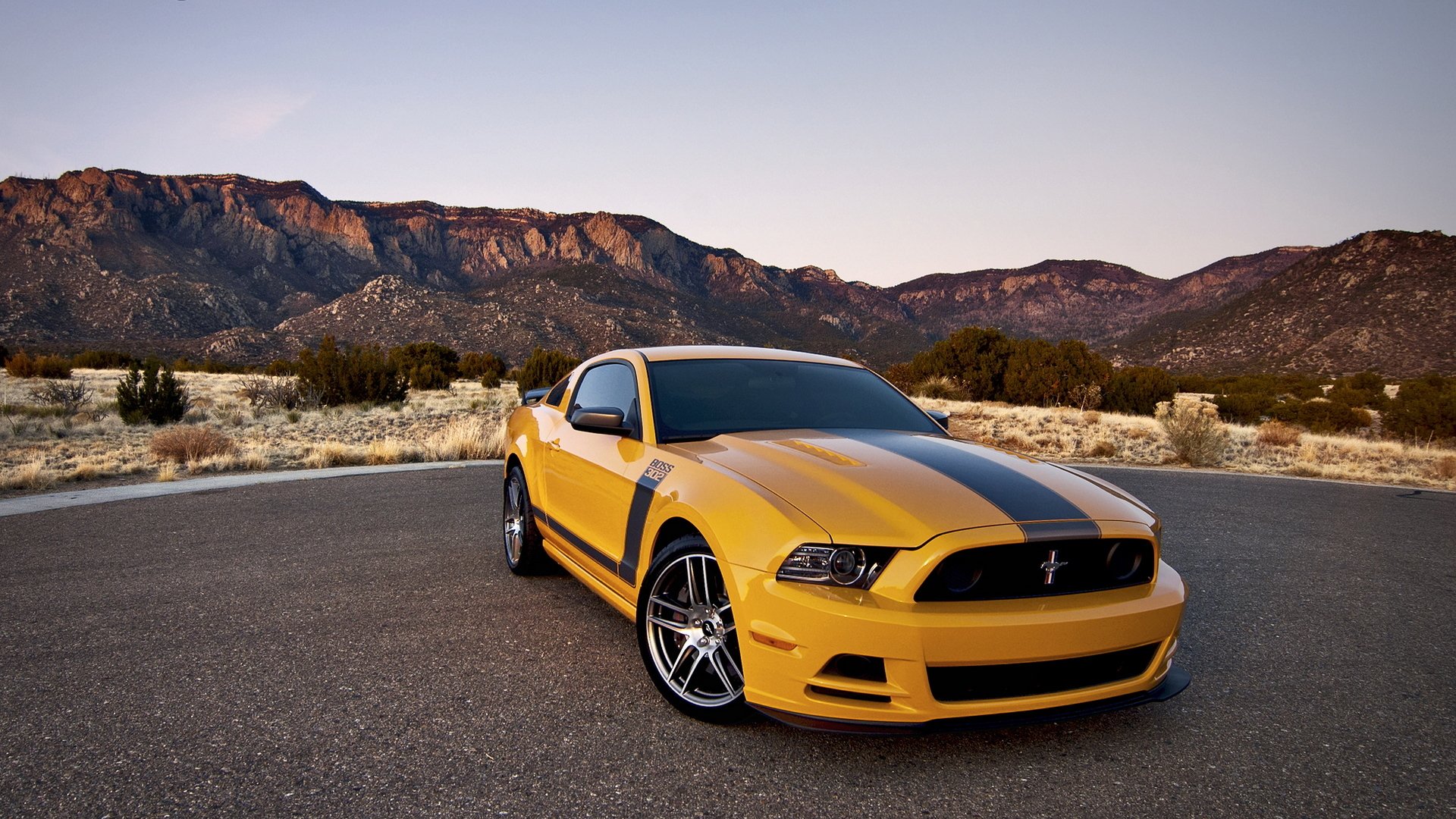 ford mustang boss 302 ford auto auto