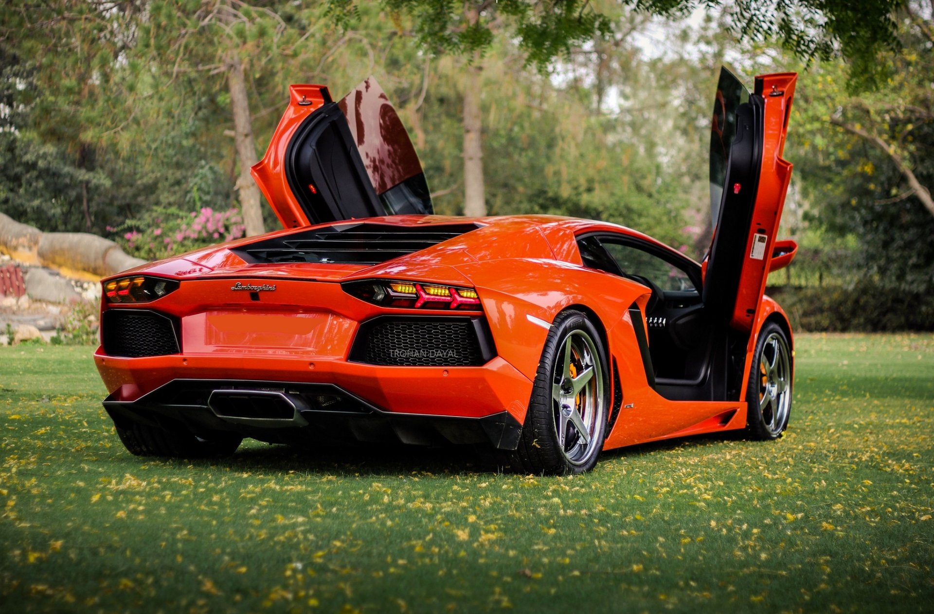 lamborghini aventador lp700-4 pomarańczowy lamborghini aventador tył drzwi gilotyna trawnik drzewa