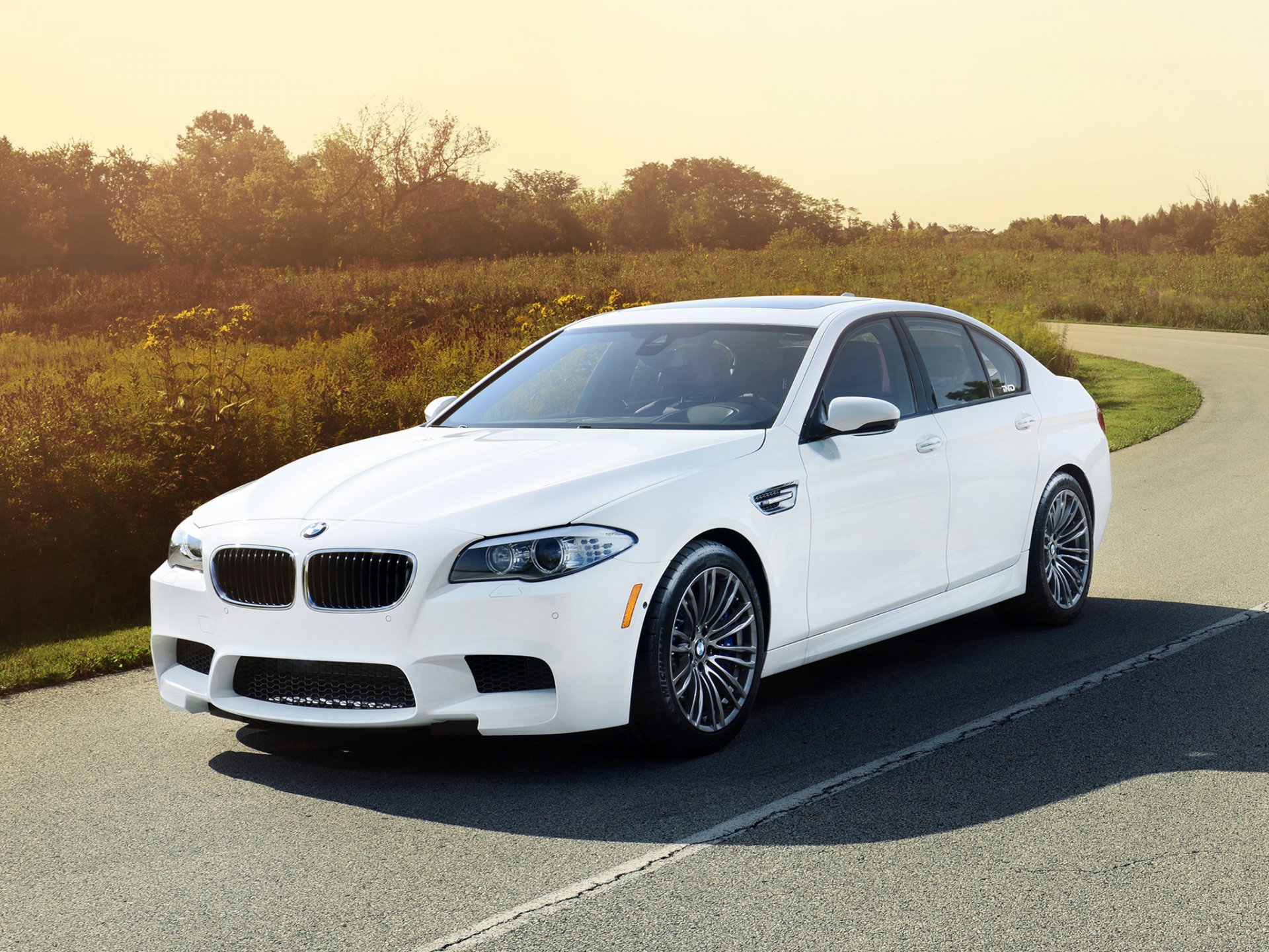 ind bmw m5 bmw sedán blanco frente tuning carretera arbustos fondo