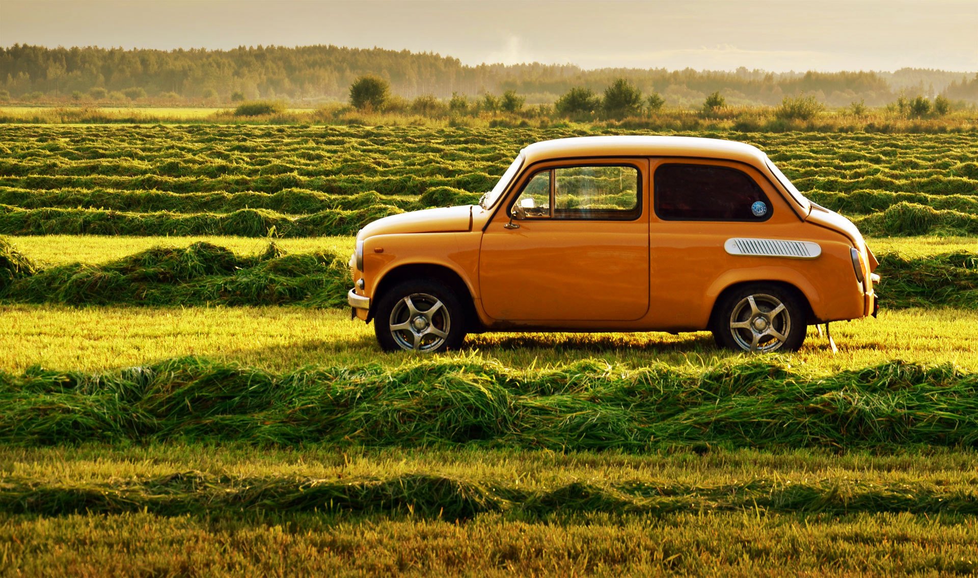 zaz zaporozhets retro urss hierba coche naturaleza