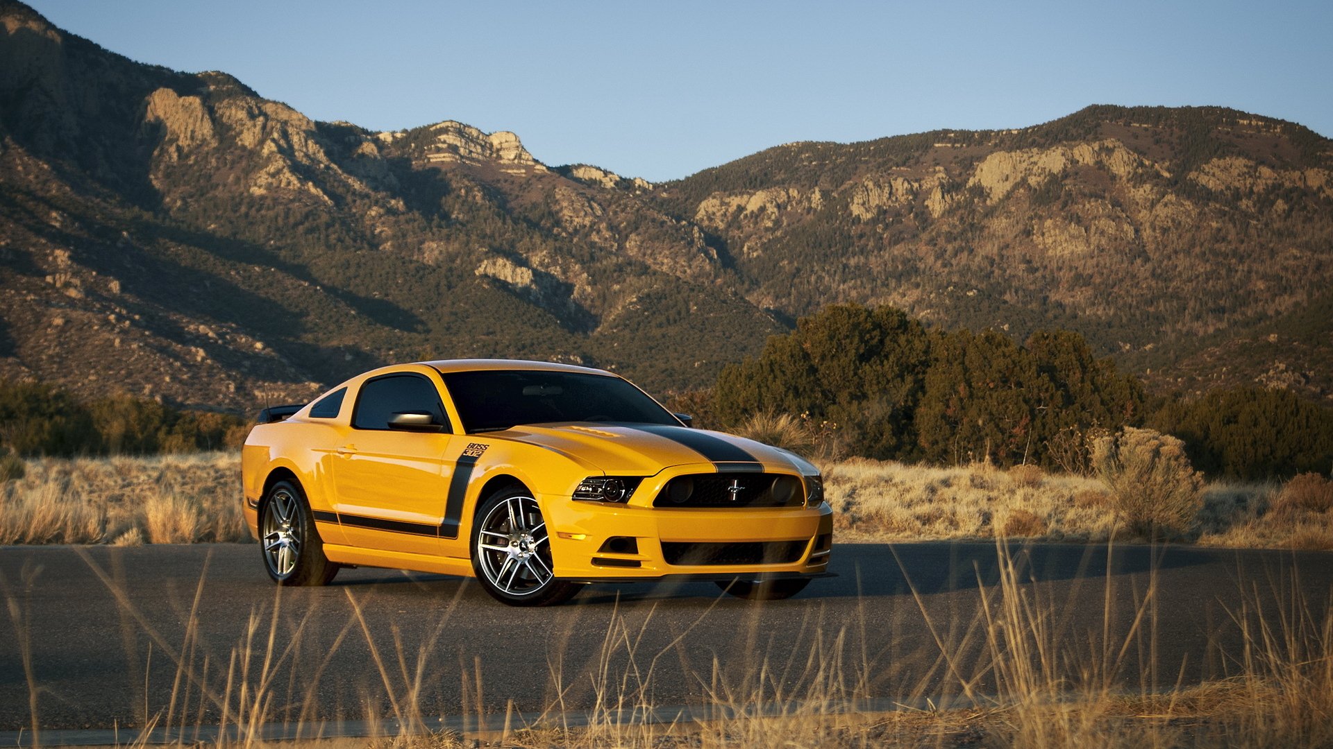 ford mustang boss 302 ford autoempapelado muscle car