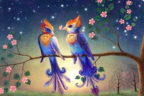 Dwa ptaki miłości na gałęzi. Zmierzch