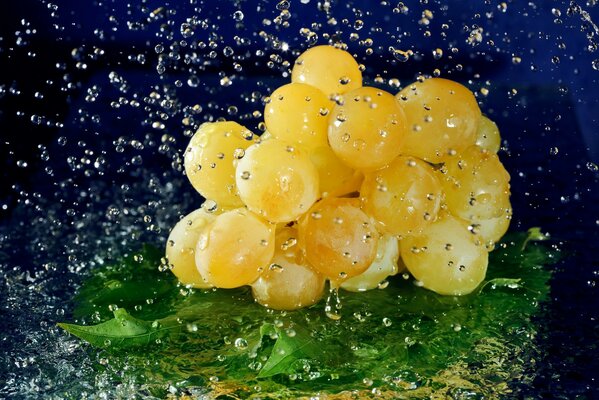 A bunch of grapes in falling dew drops