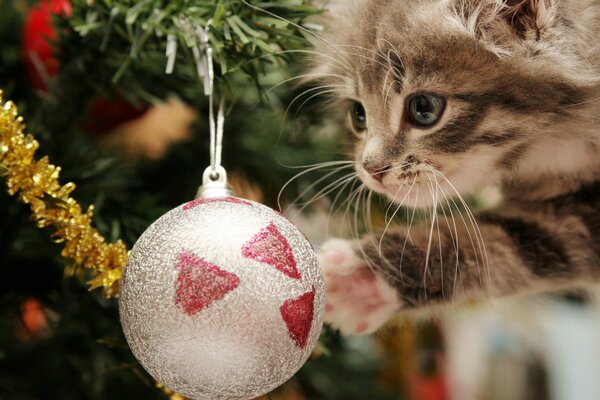 Kleines Kätzchen spielt mit Weihnachtskugel