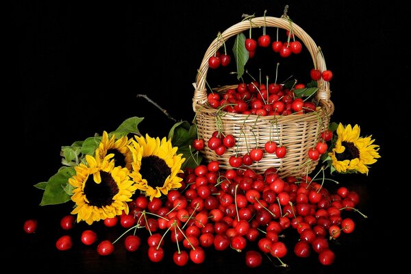 Photo basket with cherries and sunflowers